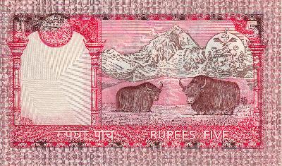 Beschrijving achterzijde: BISON